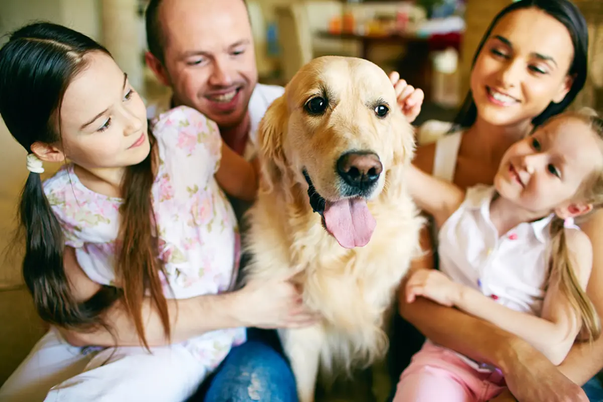 Smart Leasing for Pet Owners: A Landlord’s Guide in Portland, OR